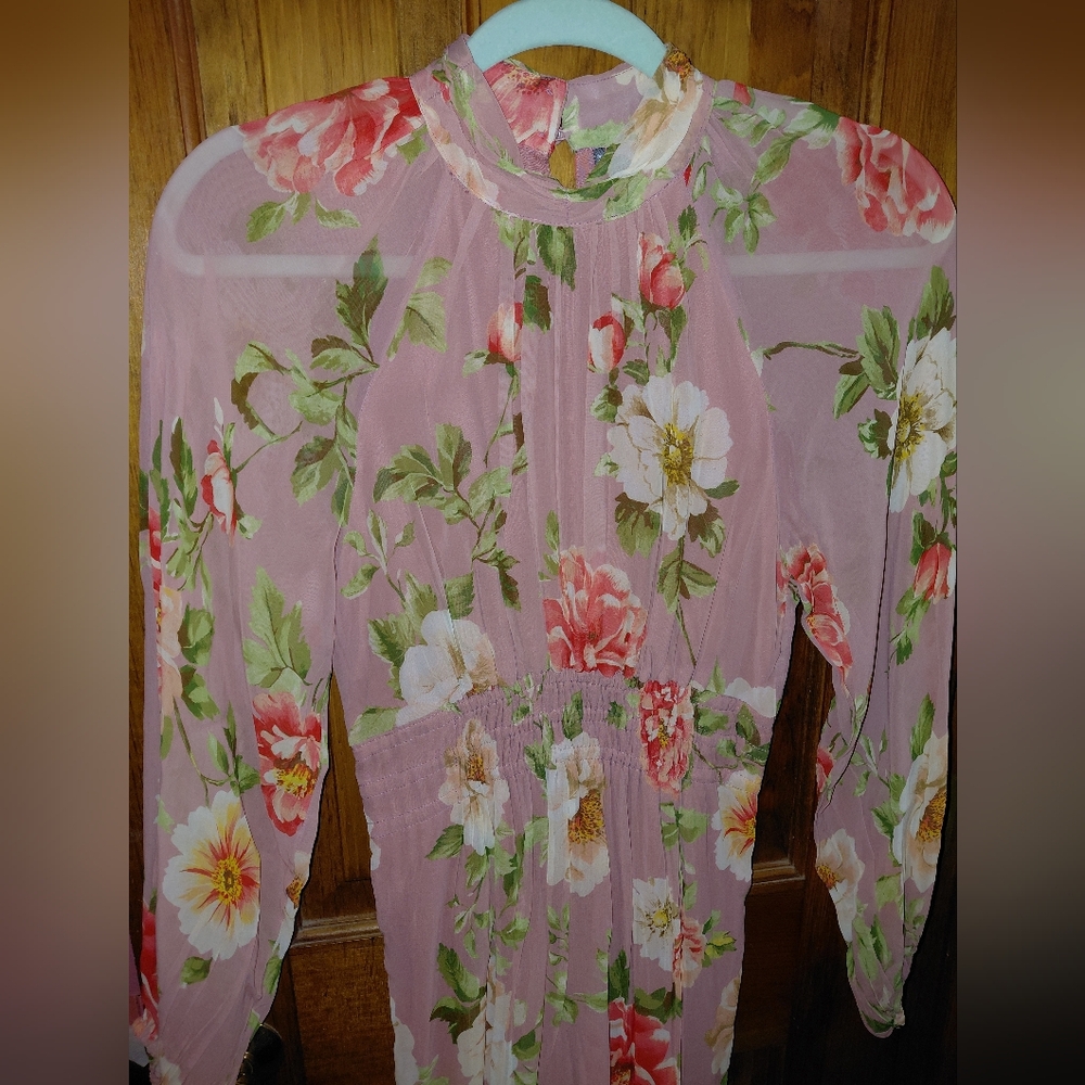 Anthropologie Somerset Long Sleeve Mock Neck Chiffon Pink Floral Maxi Dress - Picture 11 of 16